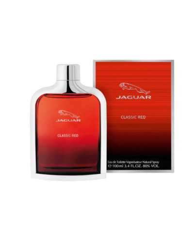 transparent-Photoroom - 2025-12-31T160153.383