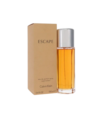 transparent-Photoroom - 2025-12-31T164530.818