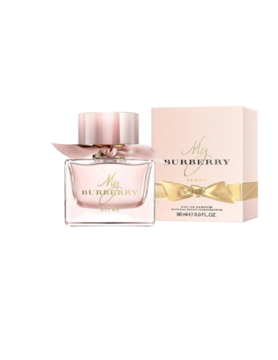 transparent-Photoroom - 2026-01-03T114708.780